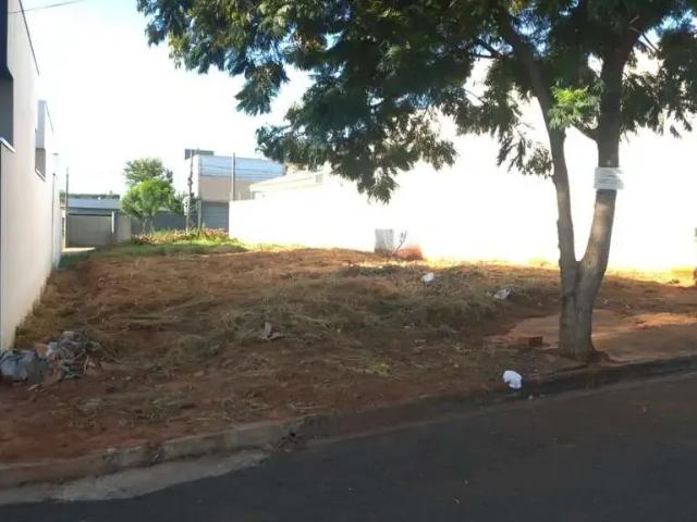 Terreno / Lote para Venda em Votuporanga/SP Jardim das Carobeiras