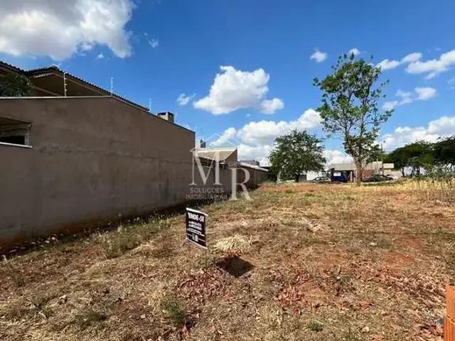 Terreno / Lote para Venda em Votuporanga/SP Jardim Itália