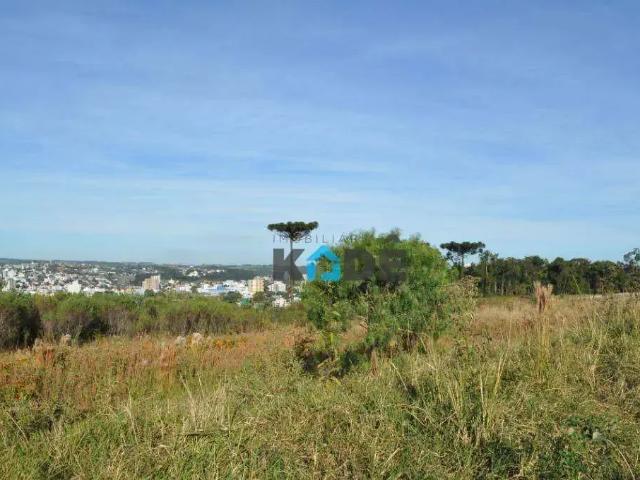 Terreno / Lote para Venda em Xanxerê/SC Vila Sésamo
