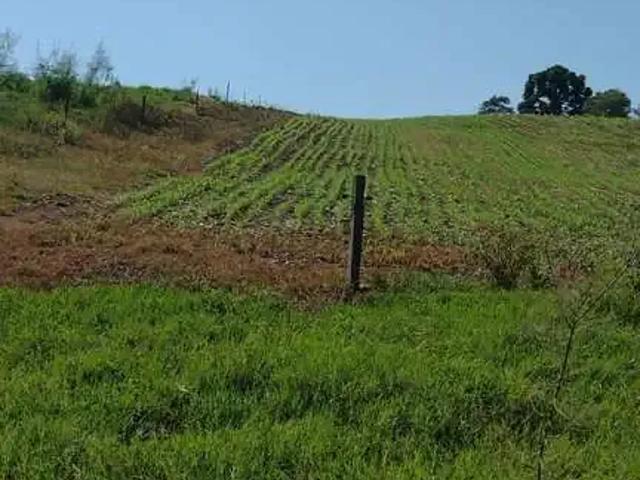 Terreno / Lote para Venda em Xavantina/SC Centro