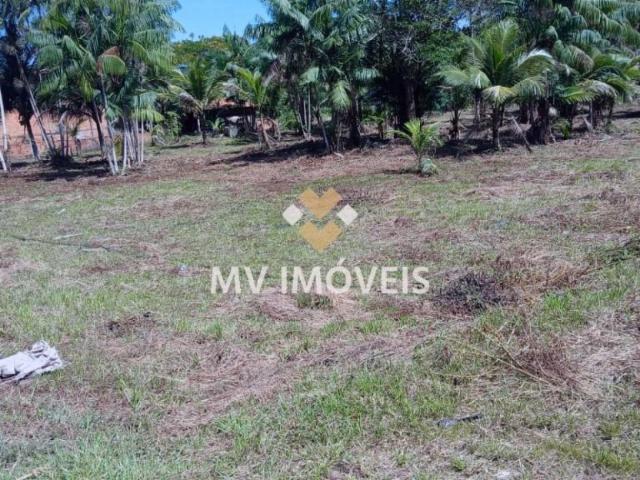 Terreno / Lote para Venda em Acará/PA Zona Rural