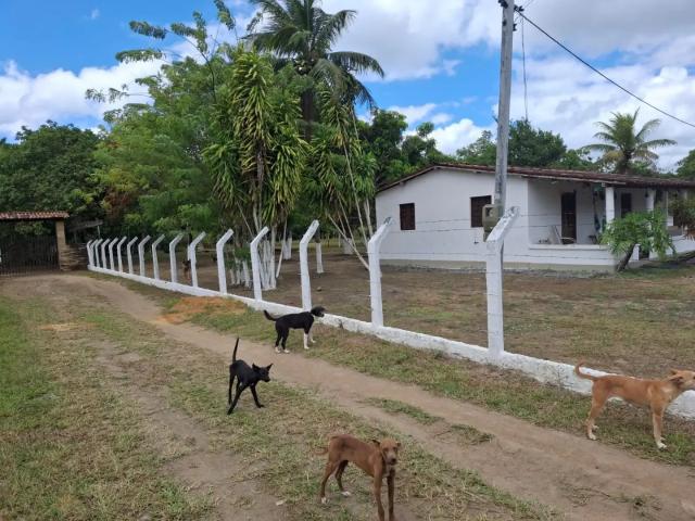 Terreno / Lote para Venda em Abreu e Lima/PE Área Rural de Abreu e Lima