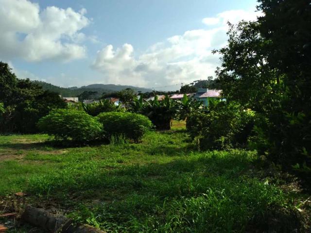 Terreno / Lote para Venda em Agronômica/SC Mosquito