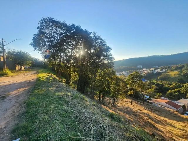 Terreno / Lote para Venda em Águas de Lindóia/SP Centro