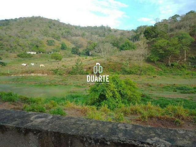 Terreno / Lote para Venda em Águas de Lindóia/SP Zona Rural