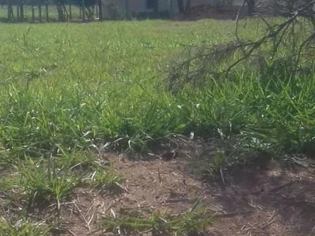 Terreno / Lote para Venda em Águas de Santa Bárbara/SP Centro