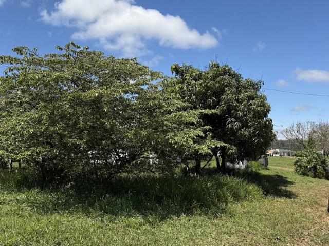 Terreno / Lote para Venda em Águas de Santa Bárbara/SP Thermas de Santa Barbara