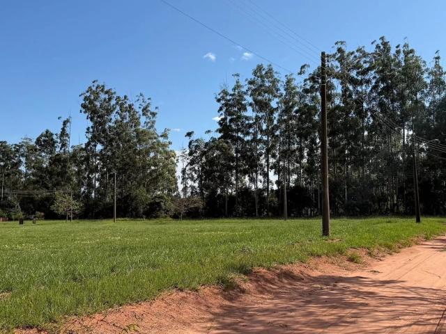 Terreno / Lote para Venda em Águas de Santa Bárbara/SP Thermas de Santa Barbara