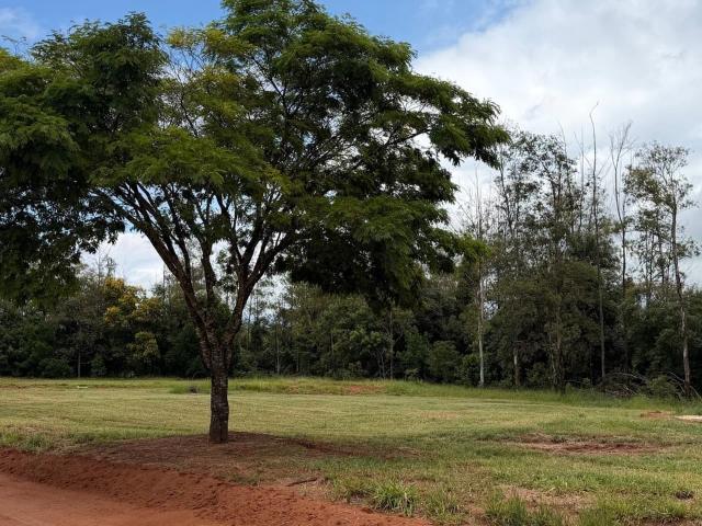 Terreno / Lote para Venda em Águas de Santa Bárbara/SP Thermas de Santa Barbara