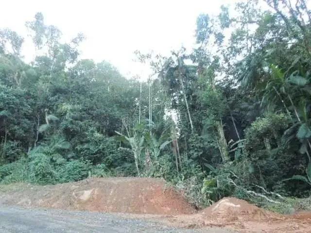 Terreno / Lote para Venda em Águas Mornas/SC Vargem Grande