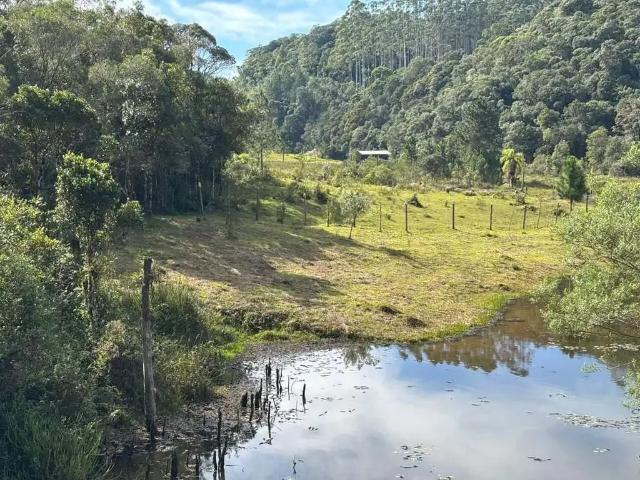 Terreno / Lote para Venda em Águas Mornas/SC Zona Rural