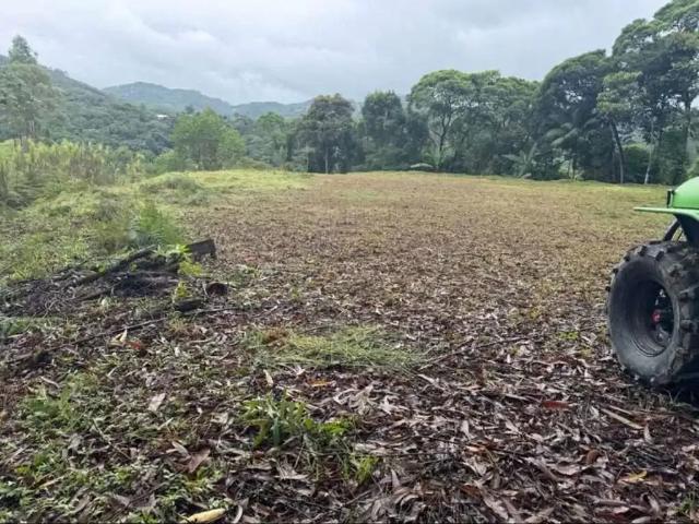 Terreno / Lote para Venda em Águas Mornas/SC Centro