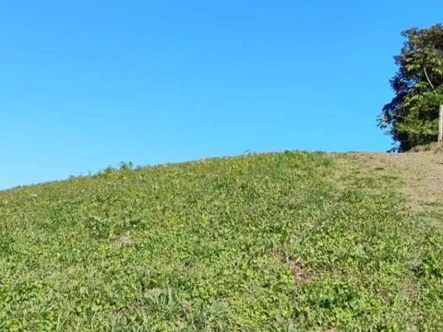 Terreno / Lote para Venda em Águas Mornas/SC Colônia Santa Isabel