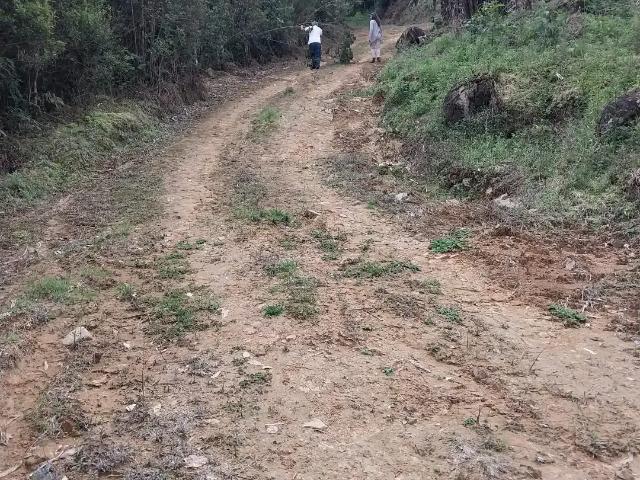 Terreno / Lote para Venda em Águas Mornas/SC Colônia Santa Isabel