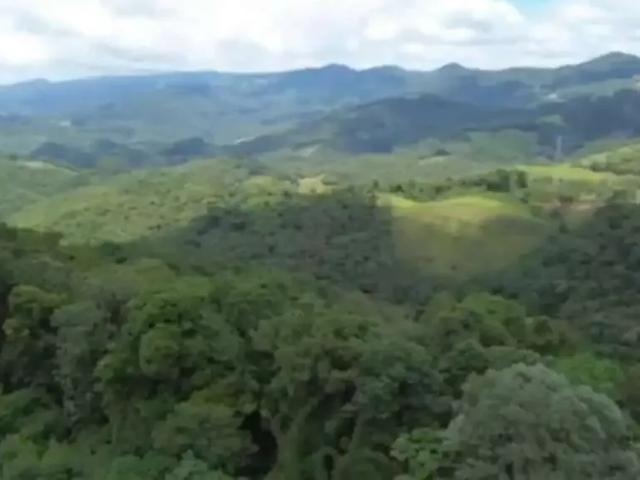 Terreno / Lote para Venda em Águas Mornas/SC Colônia Santa Isabel