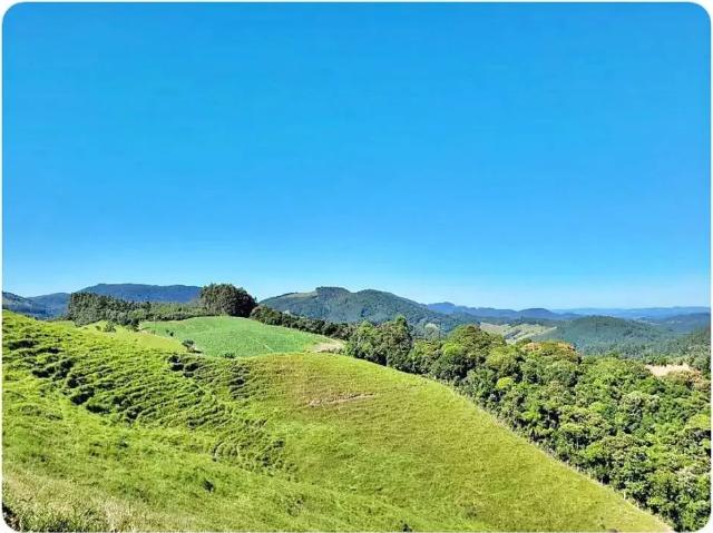 Terreno / Lote para Venda em Águas Mornas/SC Estrada Rio Do Cedro