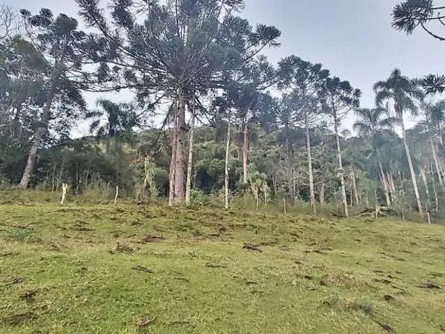 Terreno / Lote para Venda em Águas Mornas/SC Estrada Rio Do Cedro