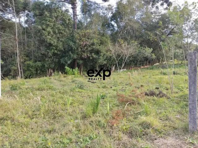 Terreno / Lote para Venda em Agudos do Sul/PR Leão