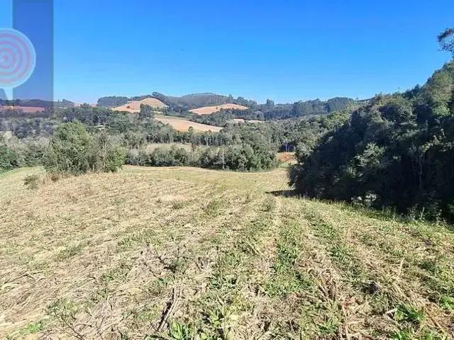 Terreno / Lote para Venda em Agudos do Sul/PR Pavãozinho