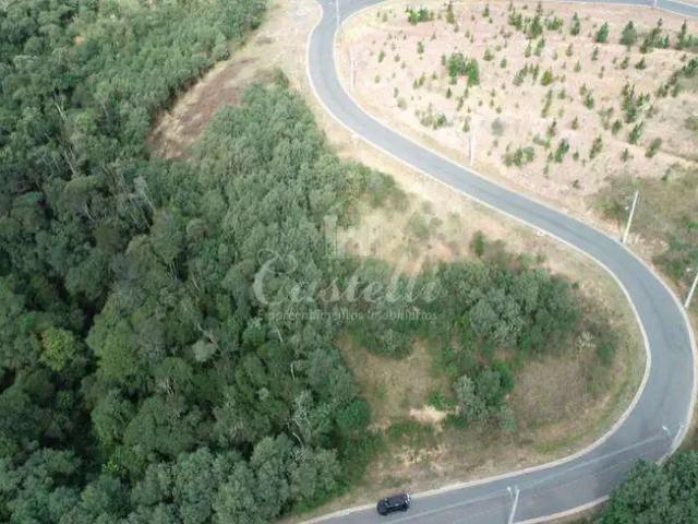 Terreno / Lote para Venda em Almirante Tamandaré/PR Centro