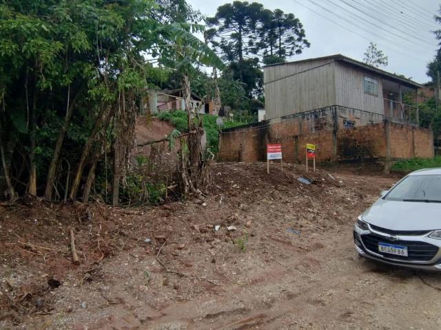 Terreno / Lote para Venda em Almirante Tamandaré/PR Jardim Marrocos