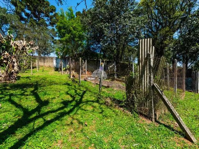 Terreno / Lote para Venda em Almirante Tamandaré/PR Lamenha Grande 3 Quartos