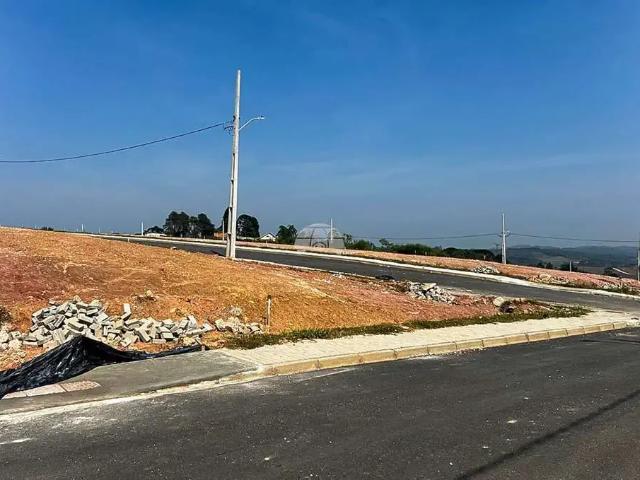 Terreno / Lote para Venda em Almirante Tamandaré/PR Lamenha Grande