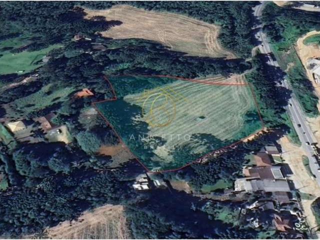 Terreno / Lote para Venda em Almirante Tamandaré/PR Mato Dentro