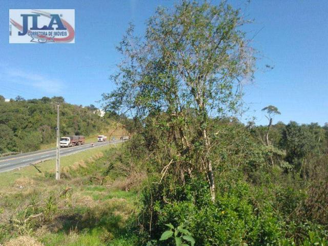 Terreno / Lote para Venda em Almirante Tamandaré/PR Planta Almirante