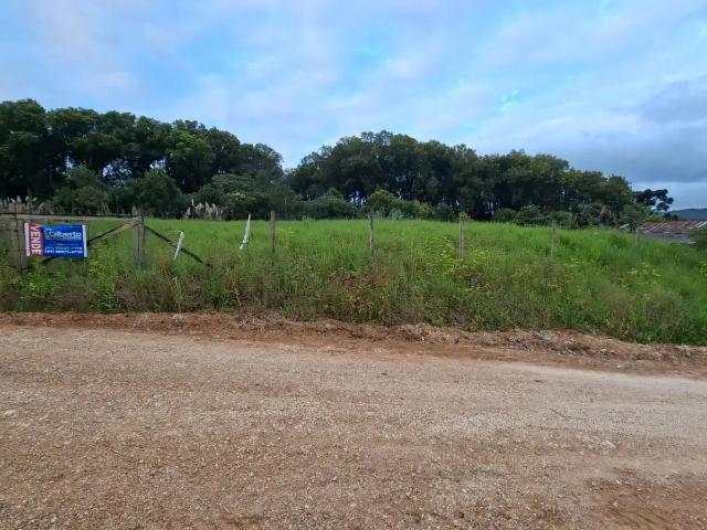 Terreno / Lote para Venda em Almirante Tamandaré/PR Tranqueira
