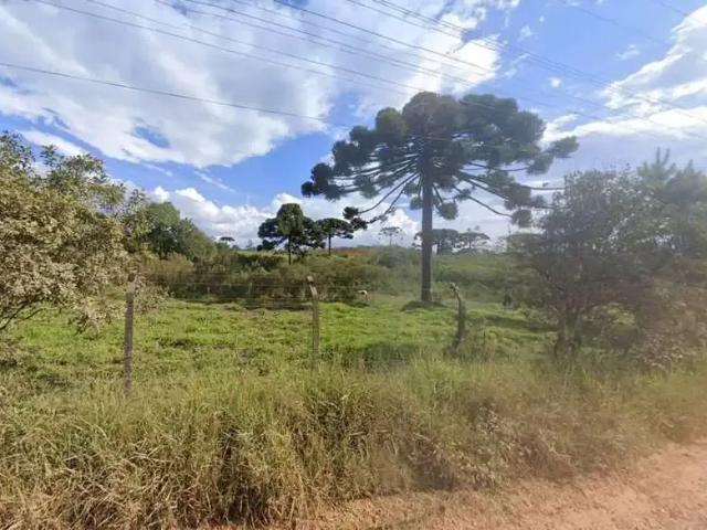 Terreno / Lote para Venda em Almirante Tamandaré/PR Tranqueira