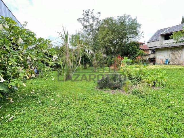 Terreno / Lote para Venda em Almirante Tamandaré/PR Vila Santa Terezinha
