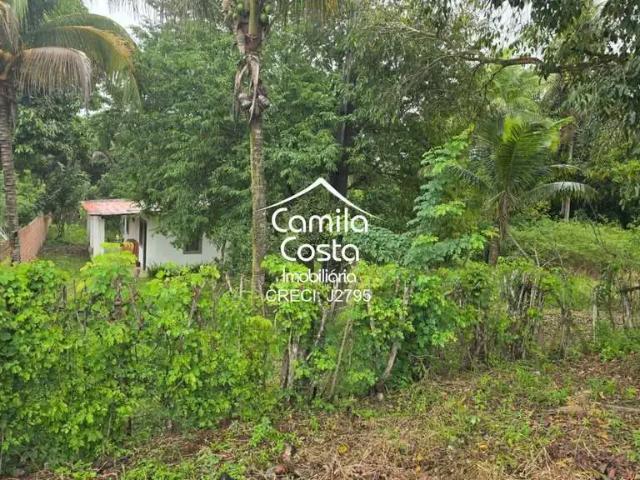 Terreno / Lote para Venda em Alagoinhas/BA Calu