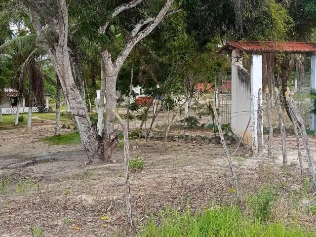 Terreno / Lote para Venda em Alagoinhas/BA Alagoinhas Velha