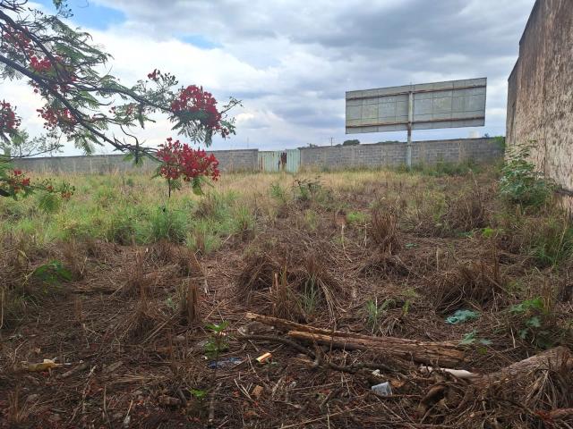 Terreno / Lote para Venda em Alexânia/GO Centro