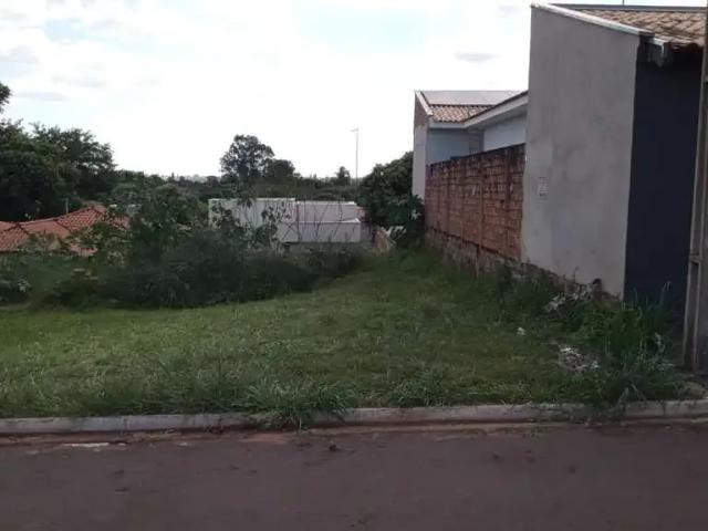 Terreno / Lote para Venda em Alfredo Marcondes/SP Loteamento Mirassol