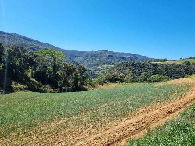 Terreno / Lote para Venda em Alfredo Wagner/SC Centro