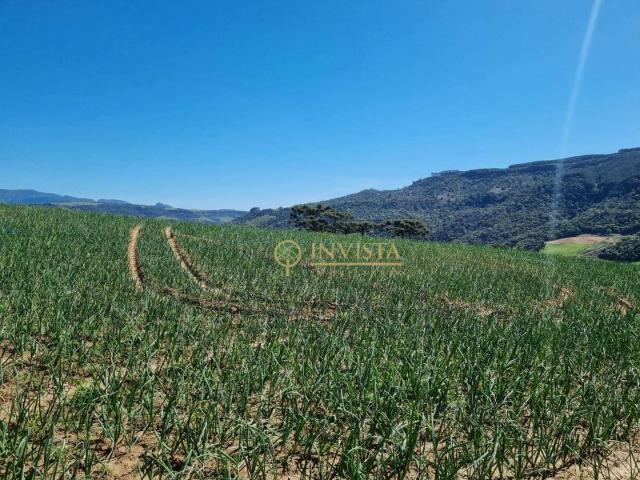 Terreno / Lote para Venda em Alfredo Wagner/SC Centro