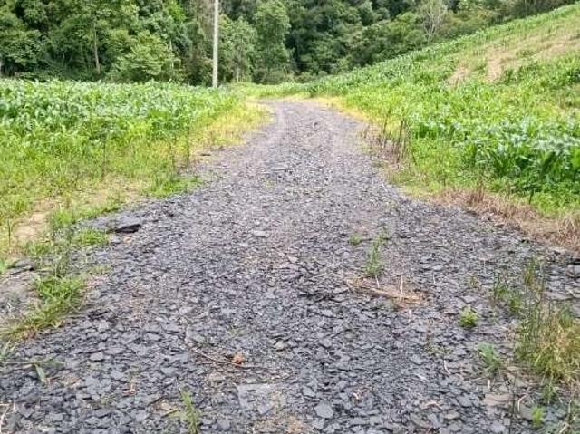 Terreno / Lote para Venda em Alfredo Wagner/SC Rio Engano