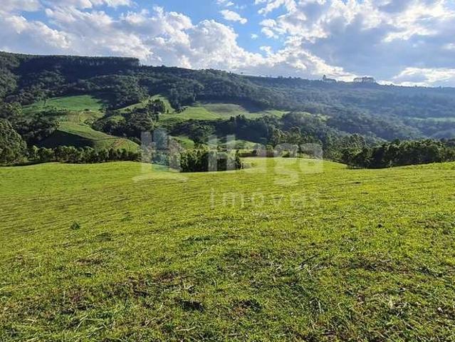 Terreno / Lote para Venda em Alfredo Wagner/SC Zona Rural