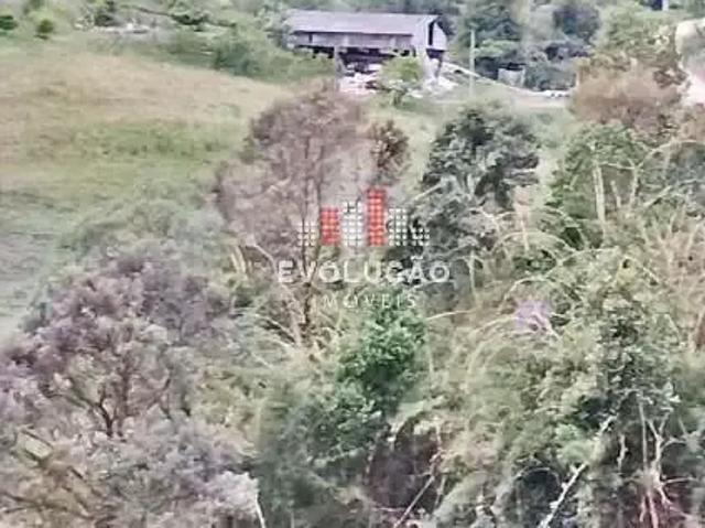 Terreno / Lote para Venda em Alfredo Wagner/SC Zona Rural