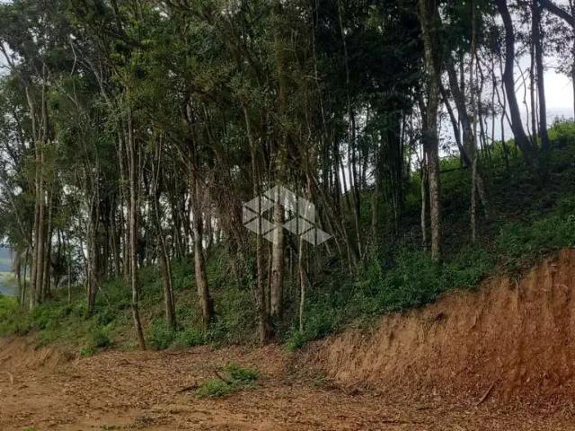 Terreno / Lote para Venda em Alfredo Wagner/SC Zona Rural