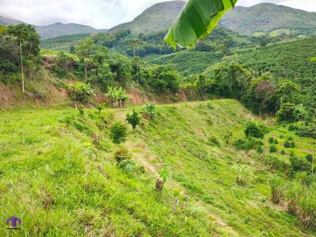 Terreno / Lote para Venda em Alto Caparaó/MG Zona Rural