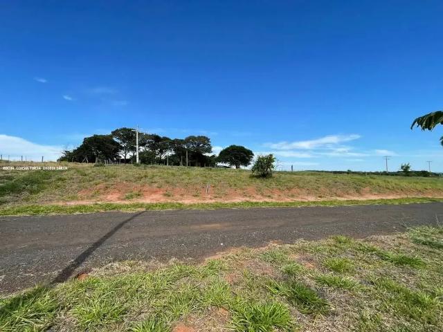 Terreno / Lote para Venda em Álvares Machado/SP Zona Rural