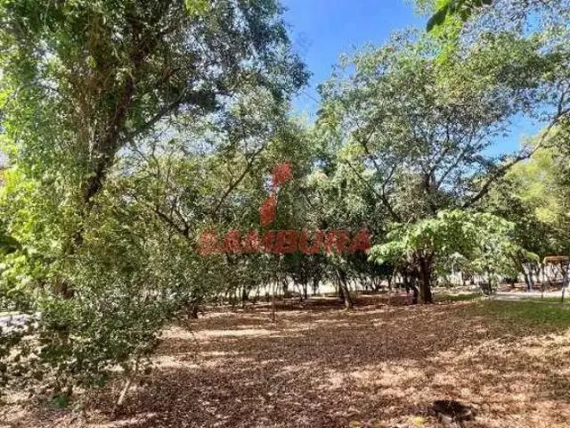 Terreno / Lote para Venda em Álvares Machado/SP Zona Rural
