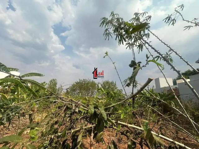 Terreno / Lote para Venda em Álvares Machado/SP Jardim São Francisco