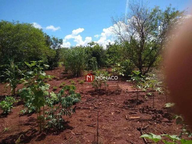 Terreno / Lote para Venda em Alvorada do Sul/PR Centro