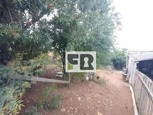Terreno / Lote para Venda em Alvorada/RS Nova Alvorada