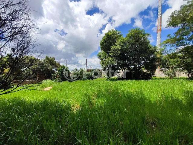 Terreno / Lote para Venda em Alvorada/RS Aparecida