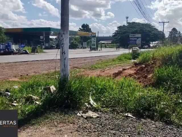 Terreno / Lote para Venda em Alvorada/RS Aparecida 2 Quartos